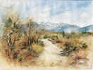 ue2507heide.jpg (40190 Byte)